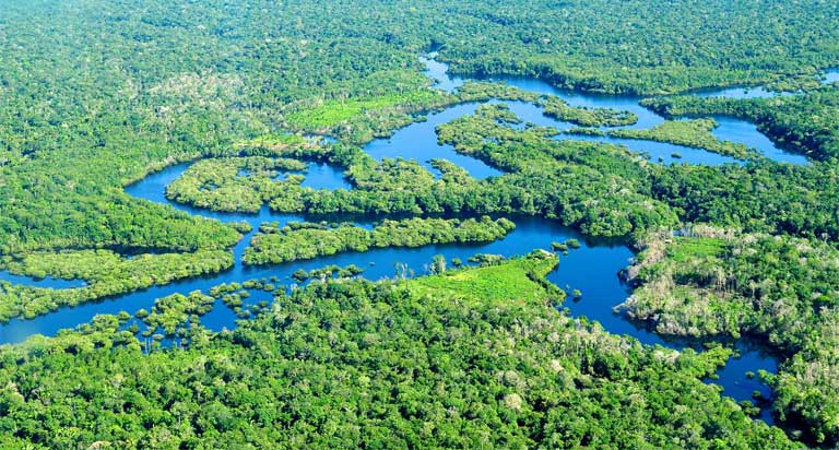The Amazon River teeming with aquatic biodiversity