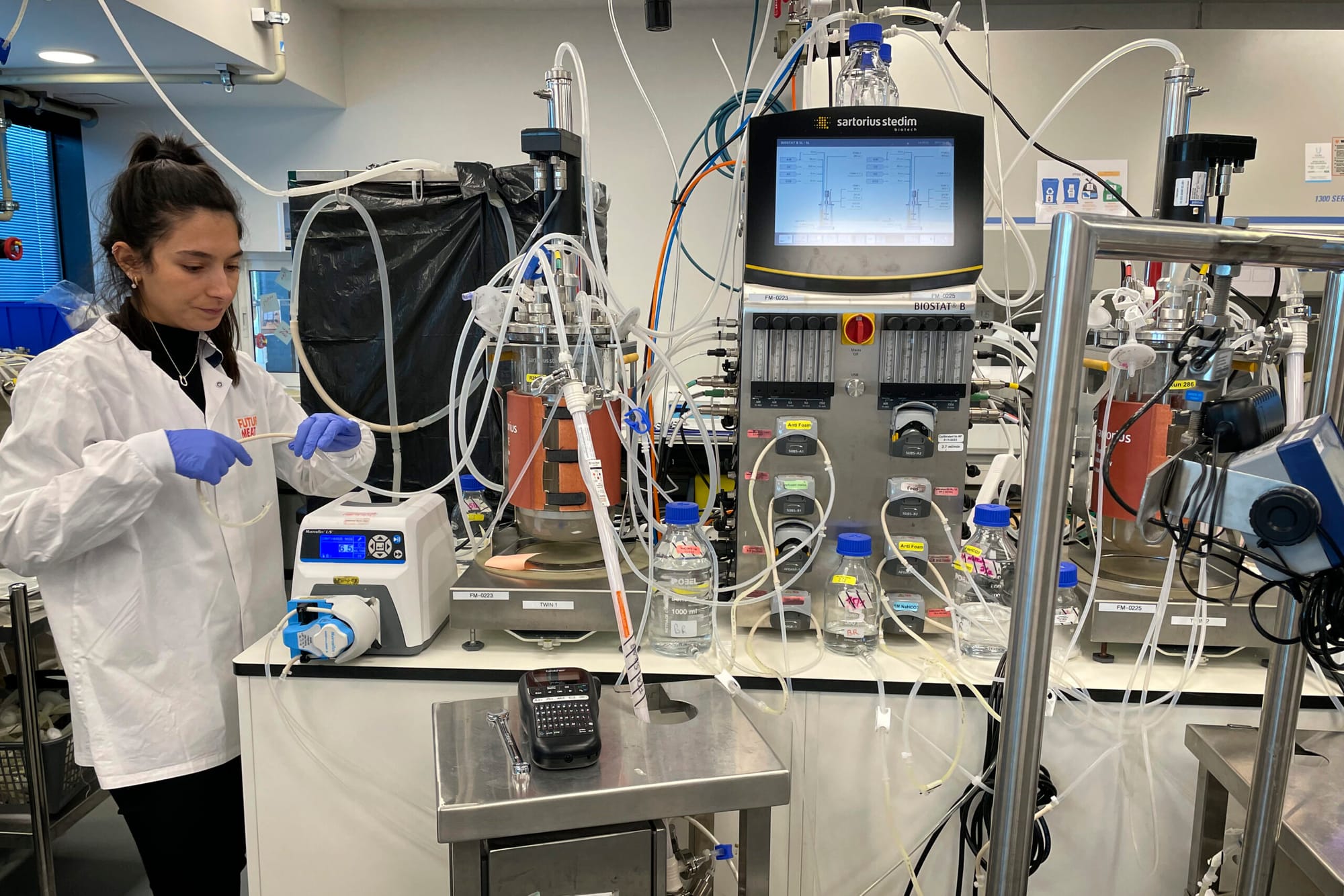 Scientists working on genetic engineering of farm animals in a laboratory