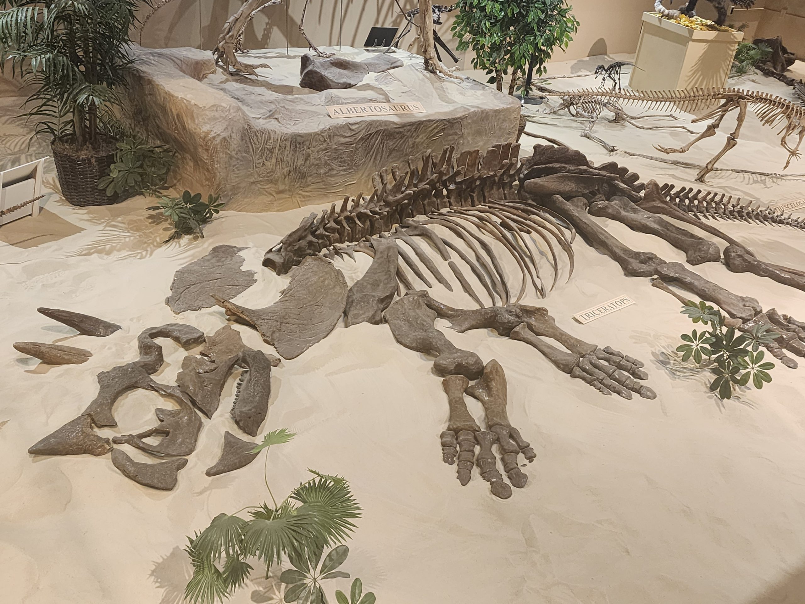 A paleontologist carefully excavating a dinosaur fossil in the badlands illustrating the ongoing discovery of extinct species