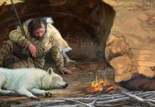 Domestic Animals: A Complete Guide to Care, Breeds, and Benefits A depiction of early humans and wolves forming a commensal relationship