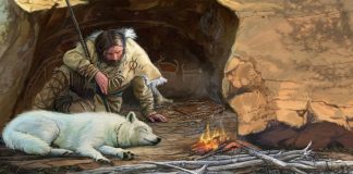 Domestic Animals: A Complete Guide to Care, Breeds, and Benefits A depiction of early humans and wolves forming a commensal relationship