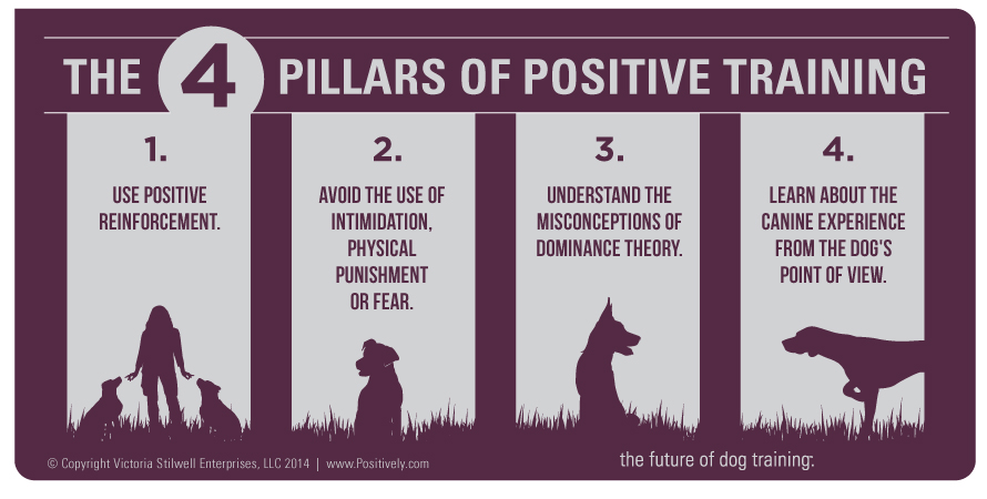 Positive reinforcement is a key to successful dog training