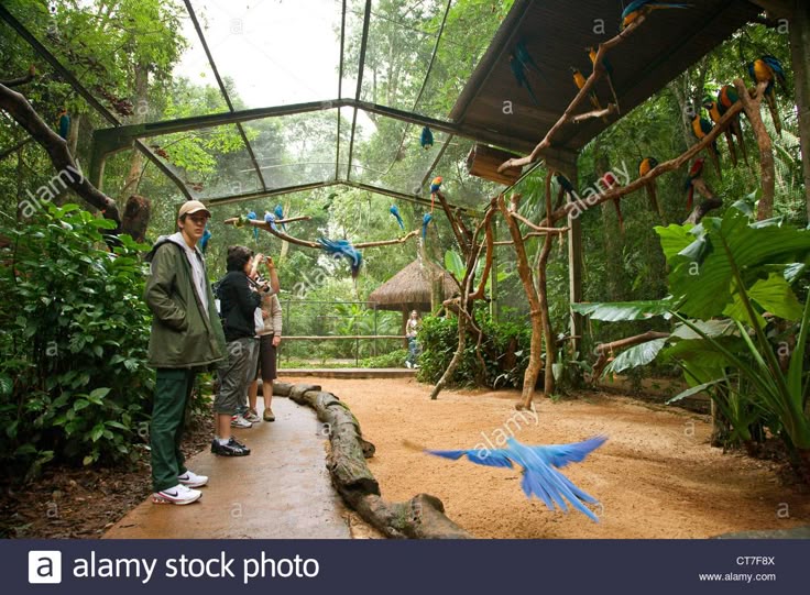 Visitors enjoying the immersive experience of a tropical aviary