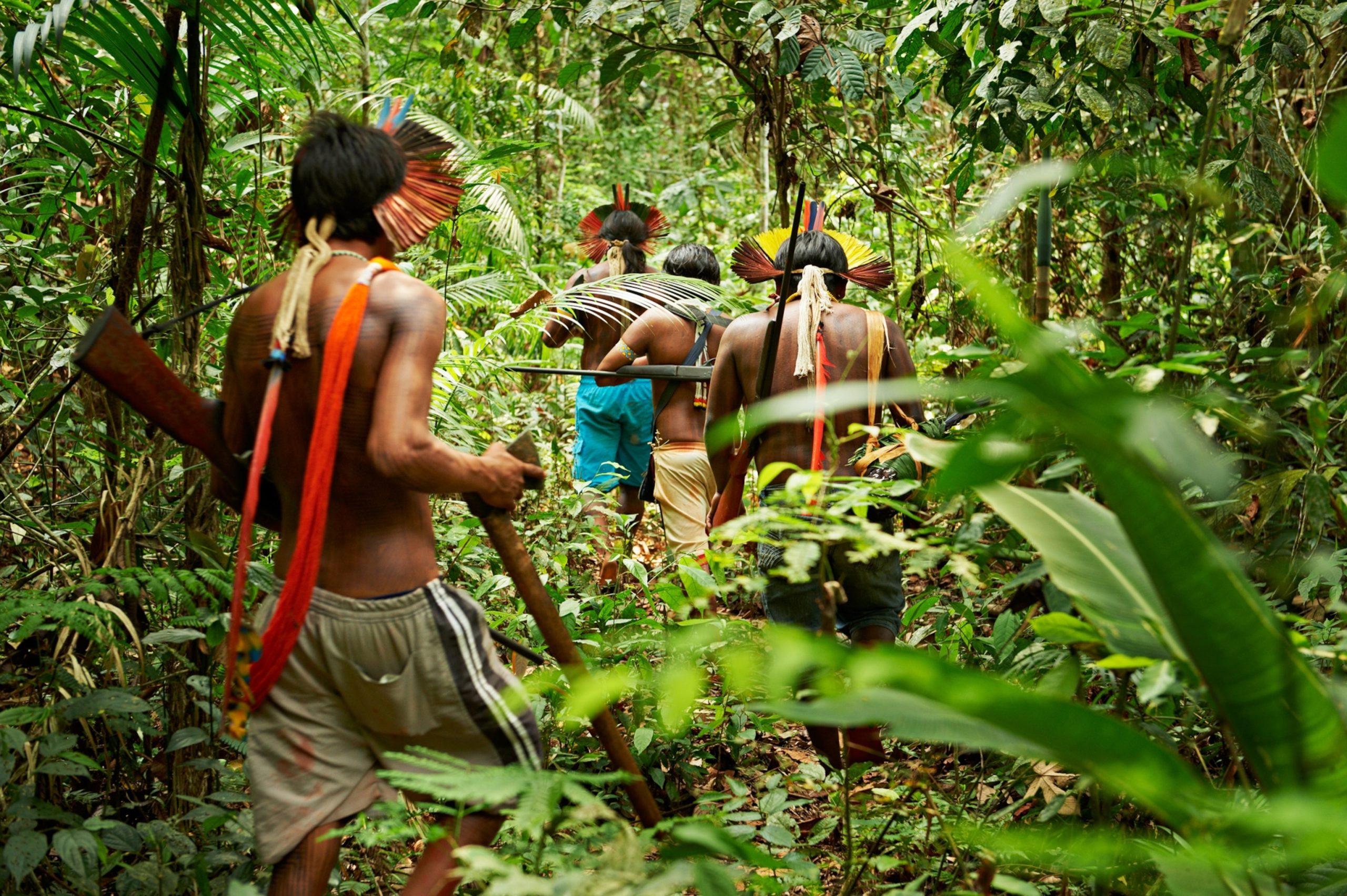 Indigenous communities in the Amazon rainforest actively protecting their ancestral lands