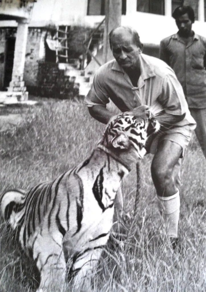 A conservationist tracking a tiger in India highlighting the importance of monitoring and protecting endangered predator species