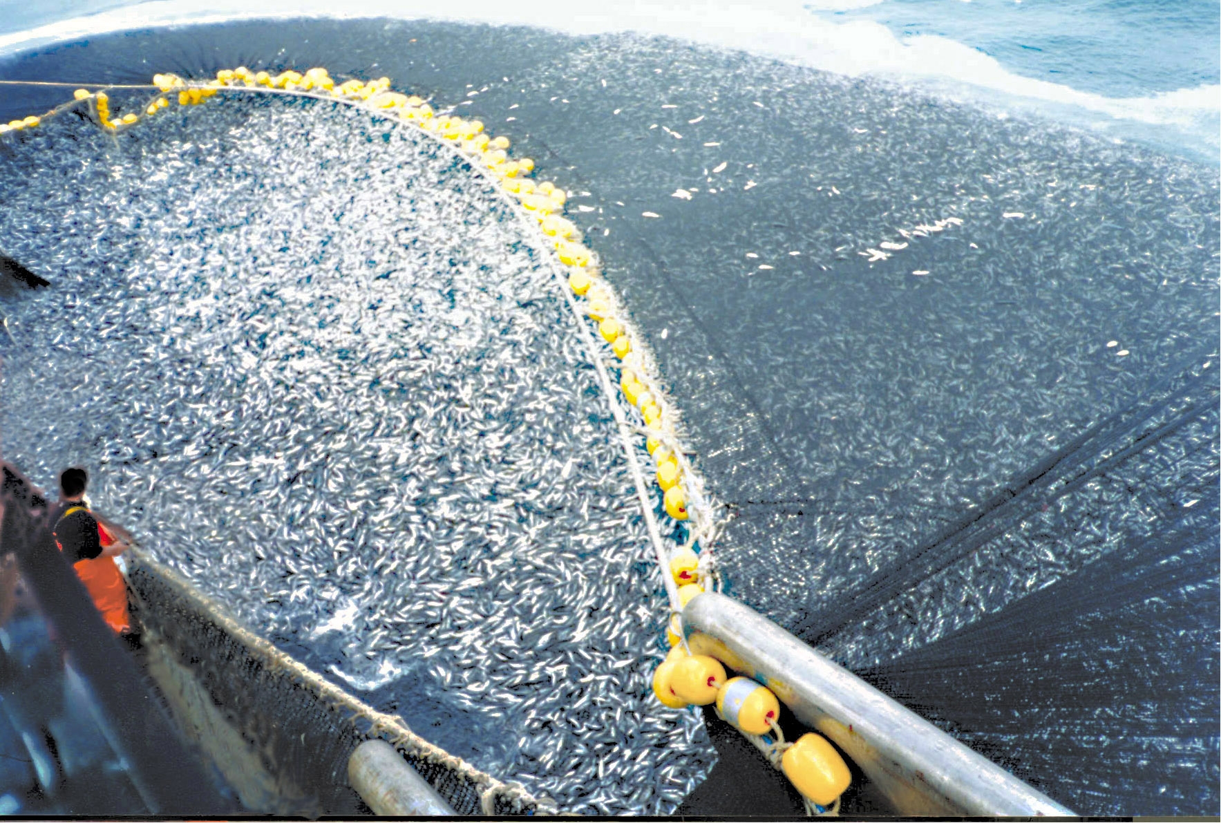 A visual representation of the devastating effects of overfishing showing a depleted ocean with a scarcity of fish