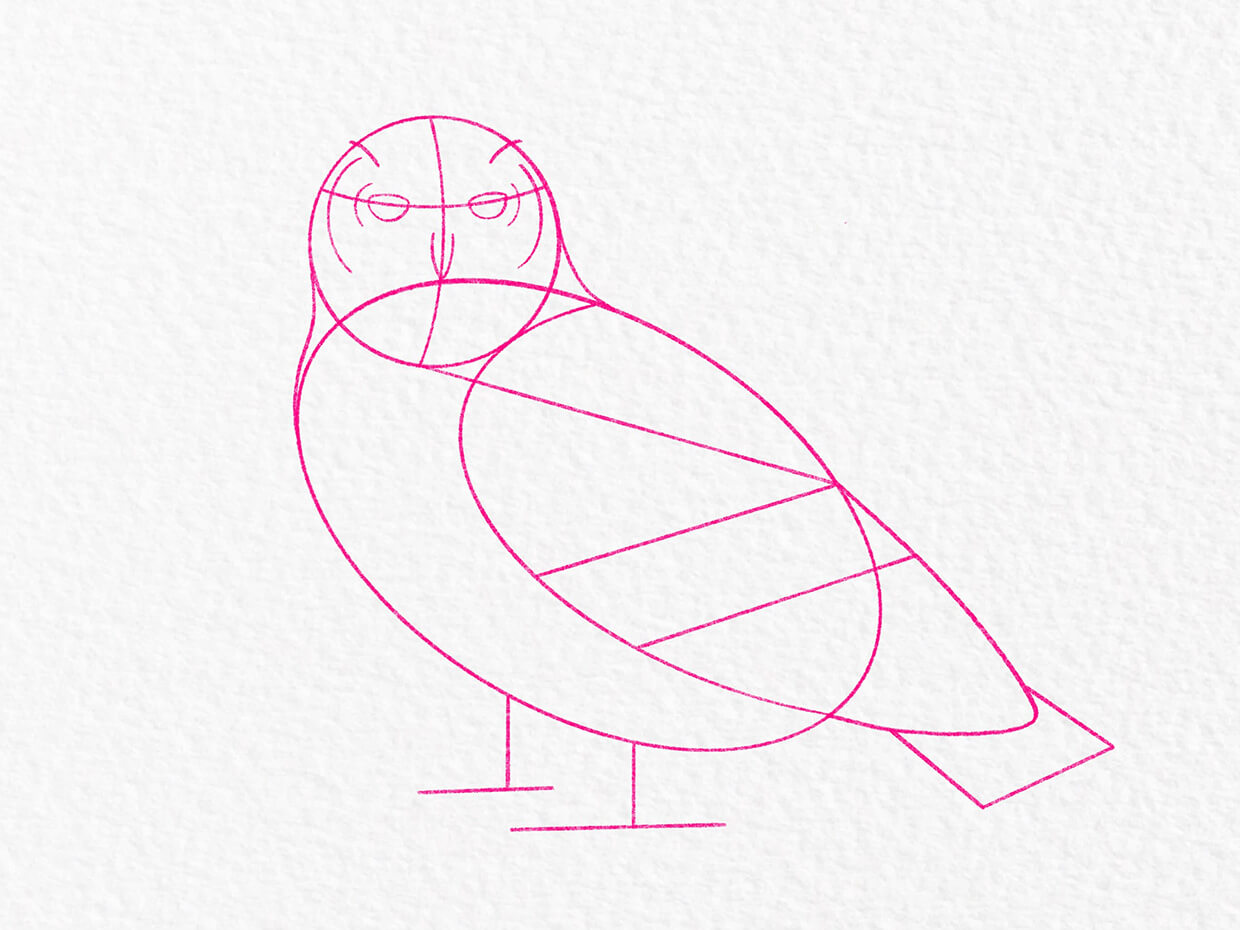 Blocking in the owls form with basic shapes