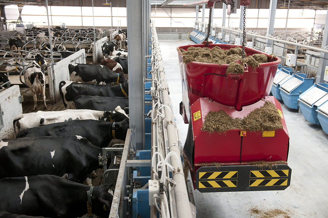Advanced feed technology systems in modern livestock farming