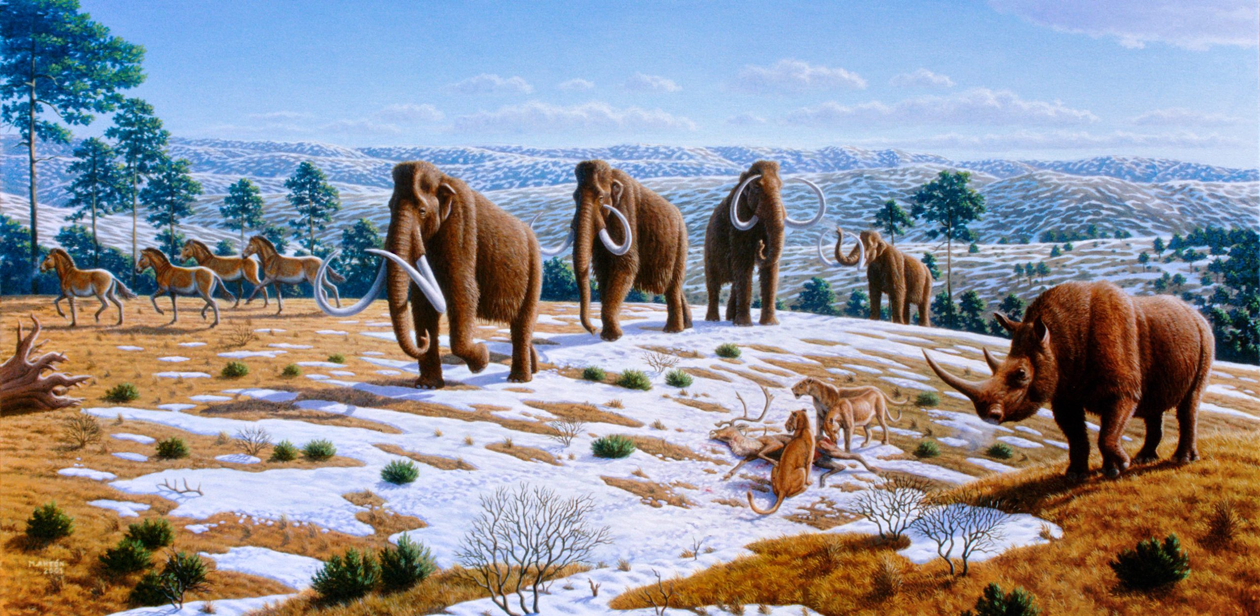 A reconstruction of a Pleistocene grassland ecosystem showcasing mammoths grazing alongside other megafauna