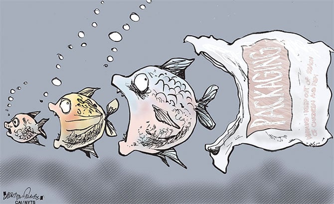 A diagram illustrating how the loss of a keystone species can lead to a cascade of extinctions throughout a food web