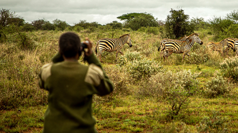 A confiscated zebra hide a grim reminder of the threat of poaching