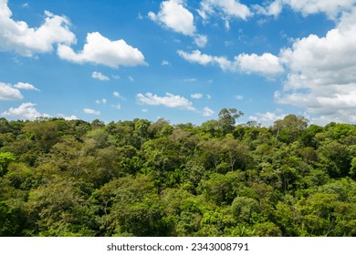 An aerial view showcasing the vast unbroken canopy of the Amazon Rainforest