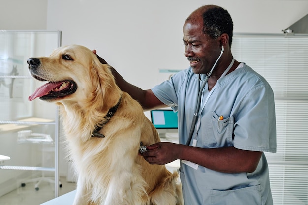 Regular veterinary checkups are essential for preventative care