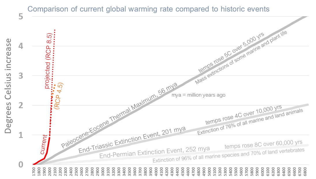 A graph illustrating the correlation between the rate of climate change and extinction rates showing a steeper curve for sudden shifts