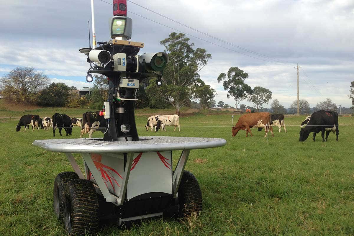 A futuristic farm with robotic systems managing livestock