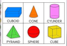 How to Draw Animals: A Beginner’s Step-by-Step Guide Fundamental geometric shapes used in drawing