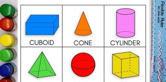 How to Draw Animals: A Beginner’s Step-by-Step Guide Fundamental geometric shapes used in drawing