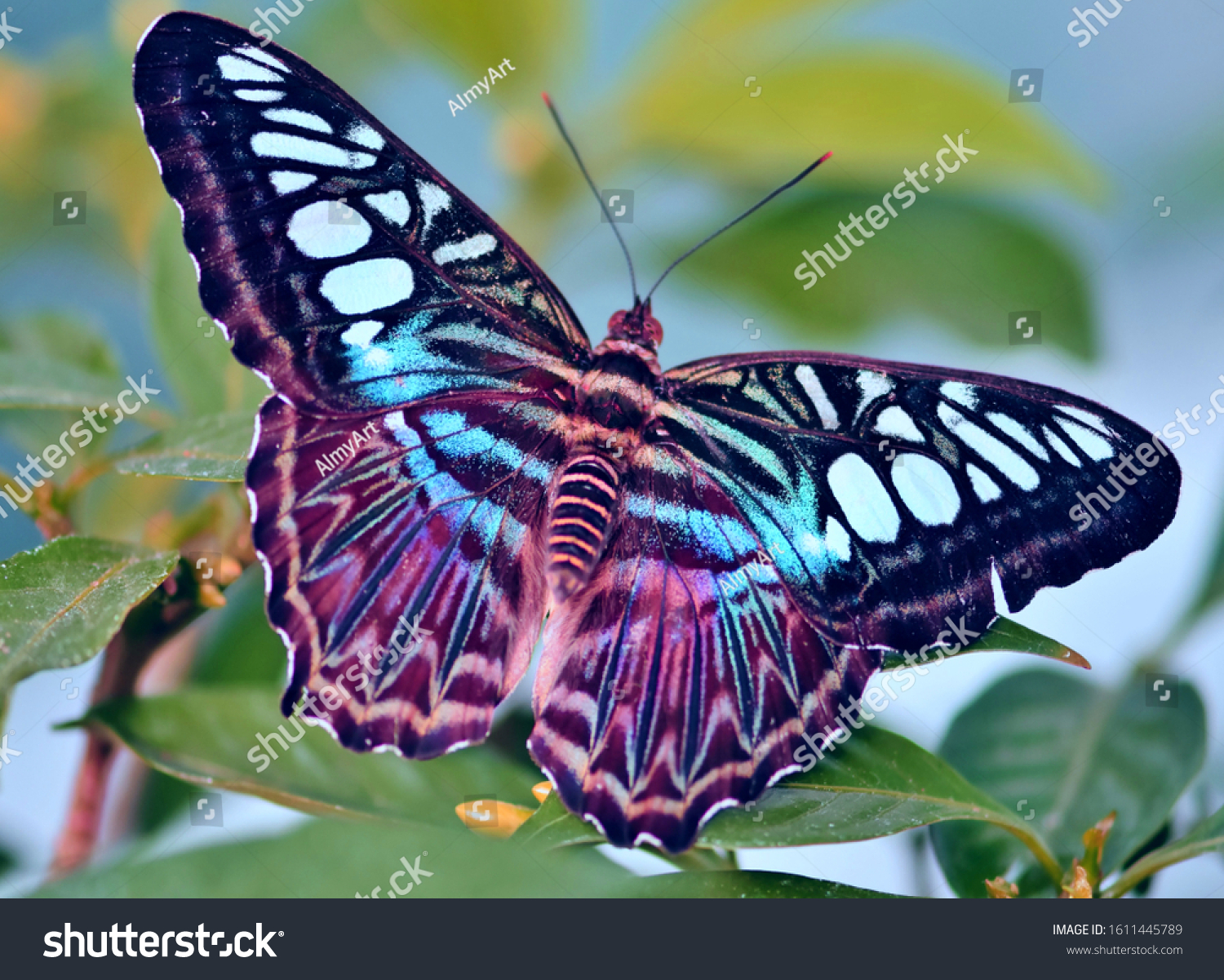 A vibrant Monarch butterfly feeding on nectar showcasing the beauty and diversity of insects