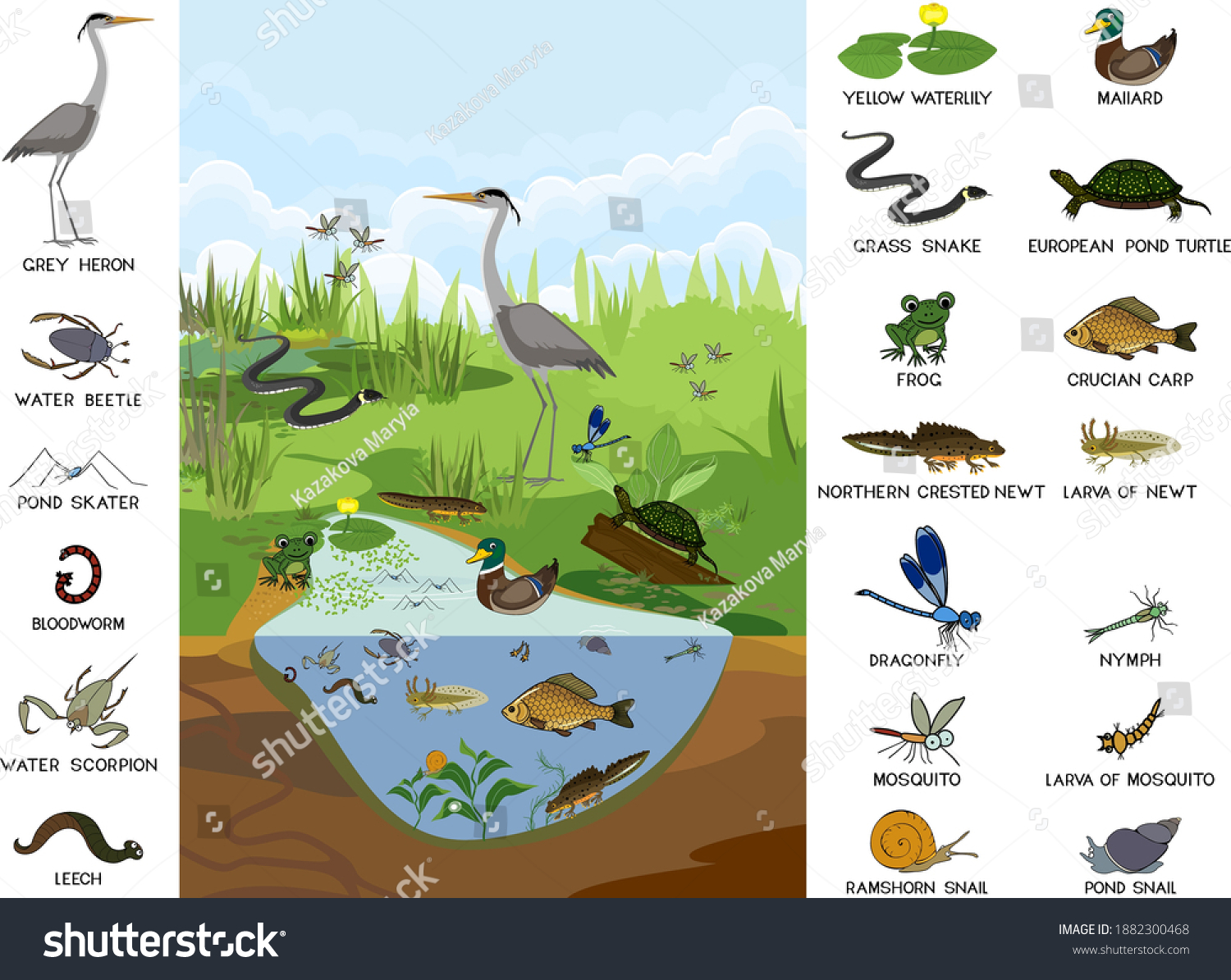 A healthy ecosystem relies on the contributions of all species regardless of their appearance