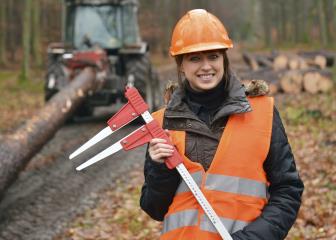 Conservationists conducting research in a protected forest area