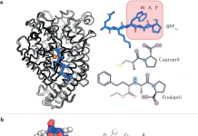 Venomous Animals: Nature’s Most Lethal Creations Illustration of the biochemical structure of animal venom