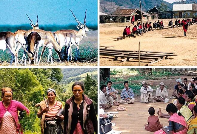 Local community involved in wildlife conservation efforts