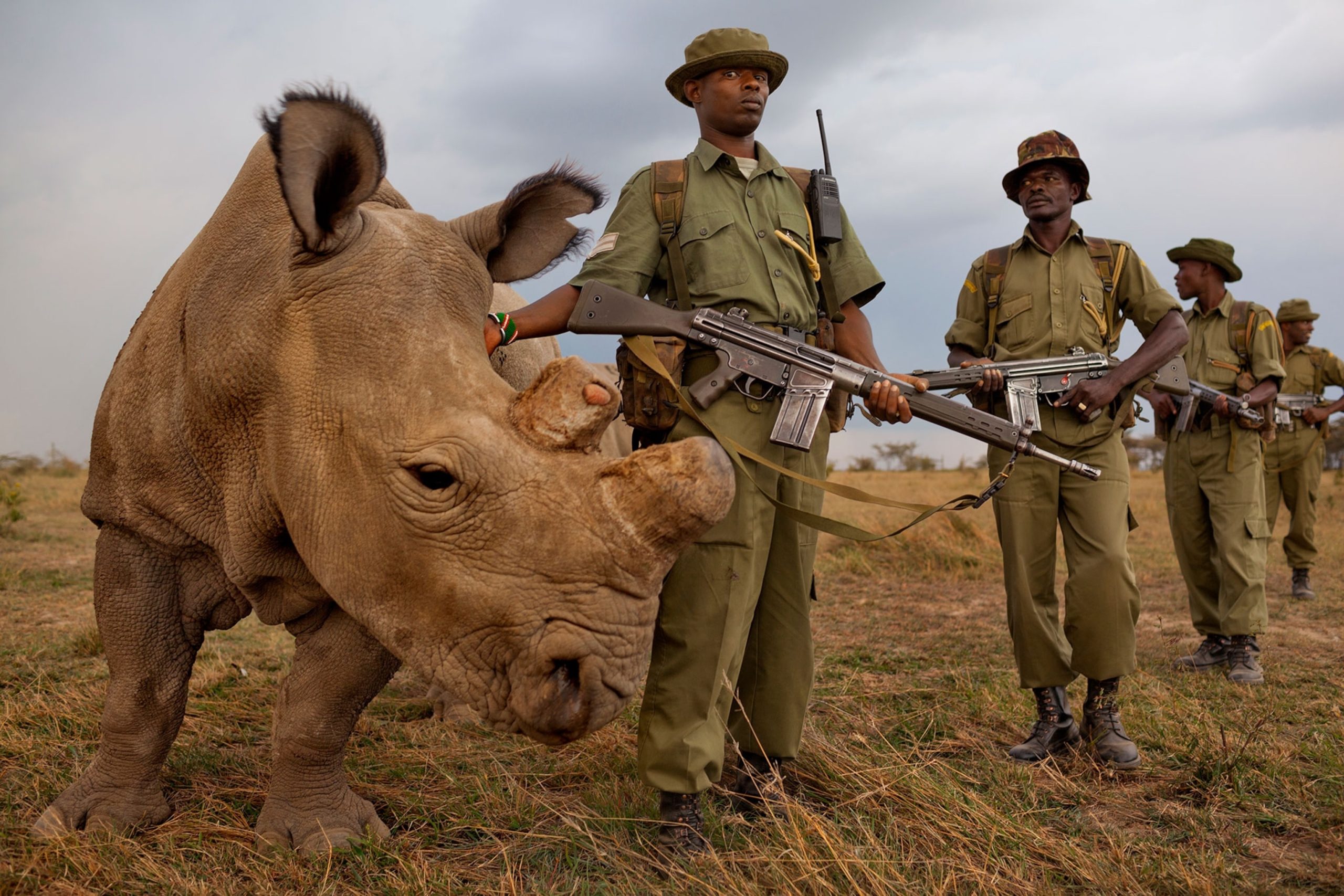 Antipoaching unit in action protecting rhinos