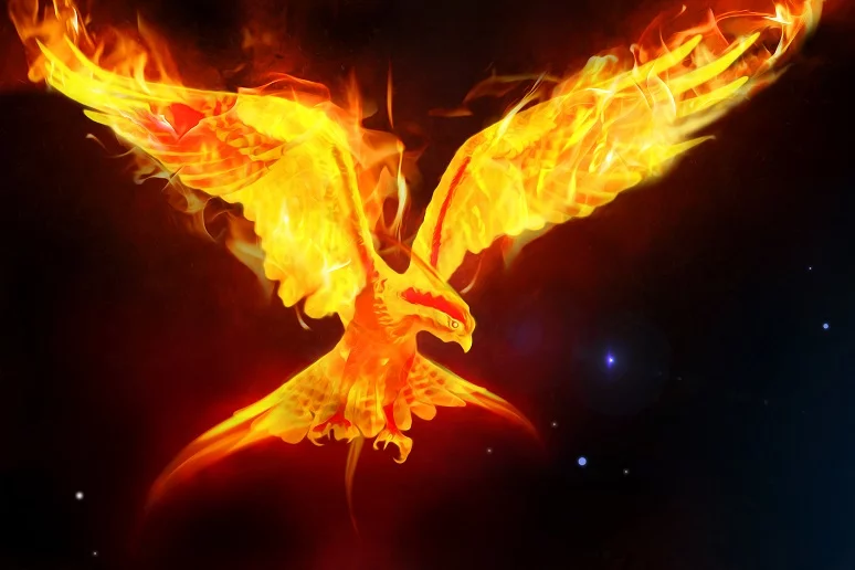 The phoenix rising from its ashes symbolizing renewal