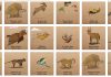 The Future of Endangered Species: Predicting the Next Animals Going Extinct Images of various extinct animal species