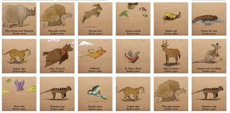 Images of various extinct animal species