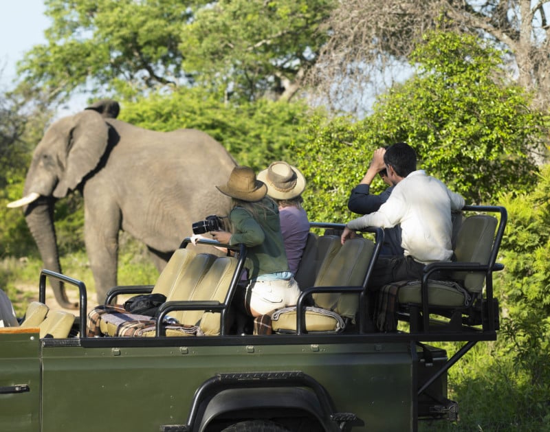 Safari tourists enjoying a view of the Big Five animals in Africa