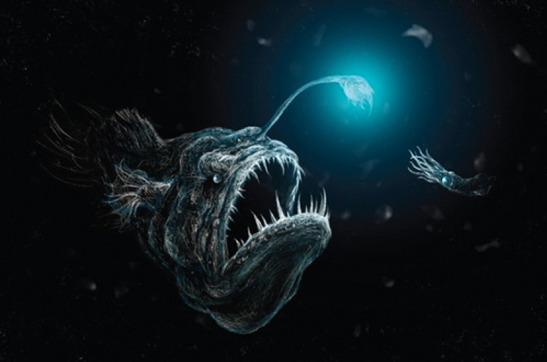 An anglerfish using its bioluminescent lure in the deep sea