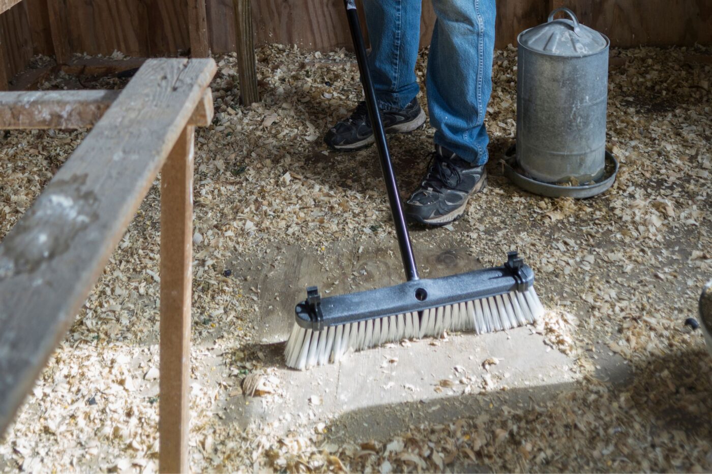 Regular cleaning of a chicken coop prevents disease