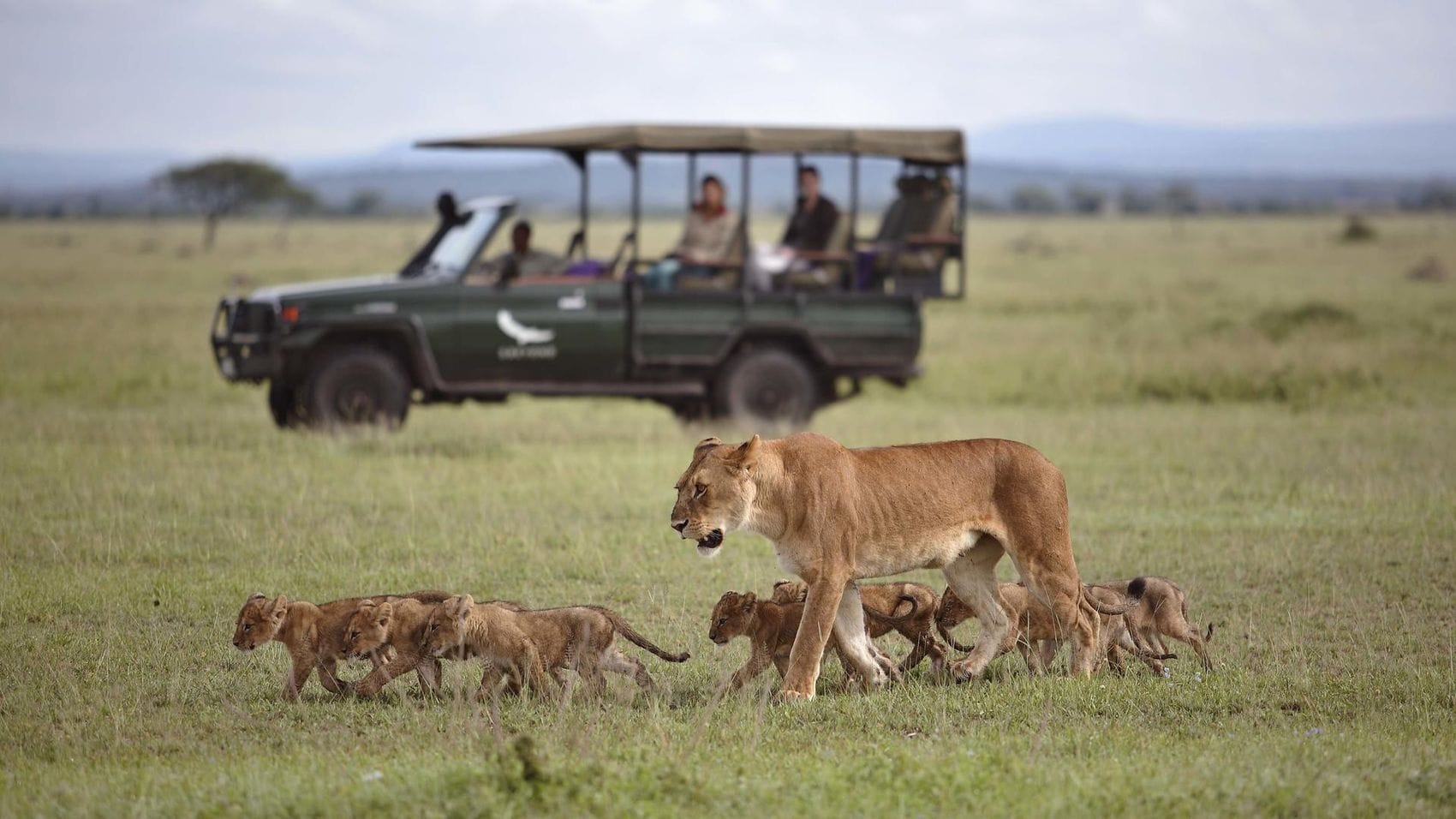 Diverse wildlife in Serengeti National Park