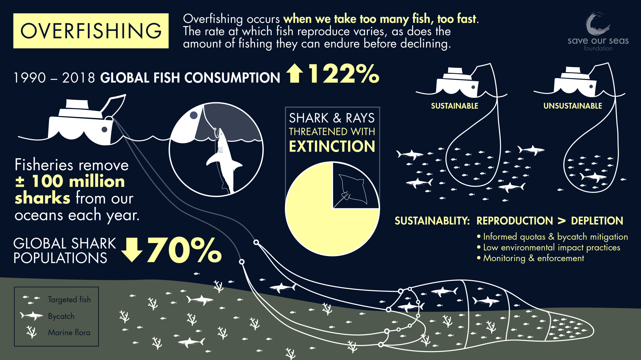 Overfishing can lead to the depletion of vital fish species