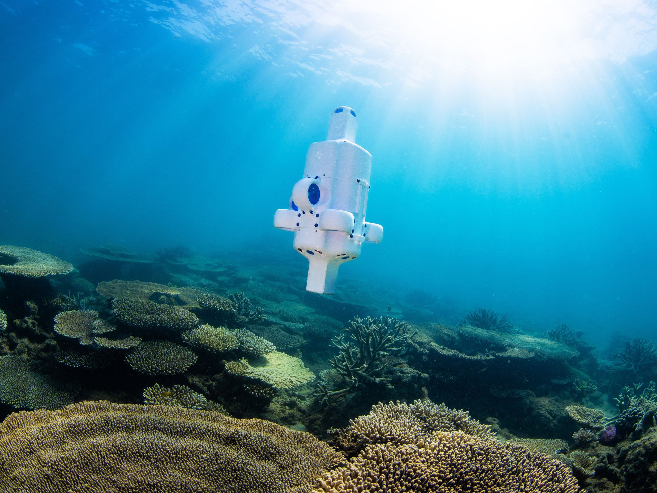 An underwater drone capturing footage of the oceans depths