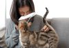 Understanding common pet allergies is crucial when choosing a pet