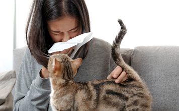 How to Choose the Right Domestic Animal for Your Home Understanding common pet allergies is crucial when choosing a pet