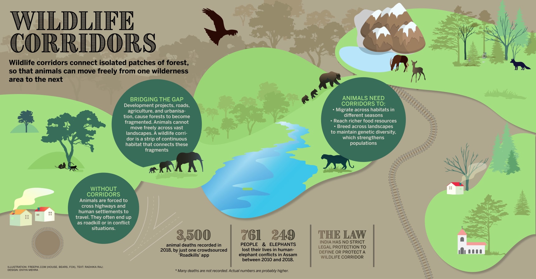 A wildlife corridor facilitating animal migration