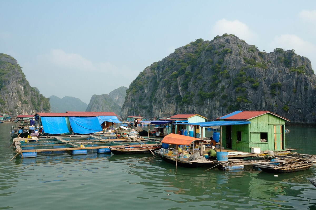 A traditional fishing village relying on marine resources