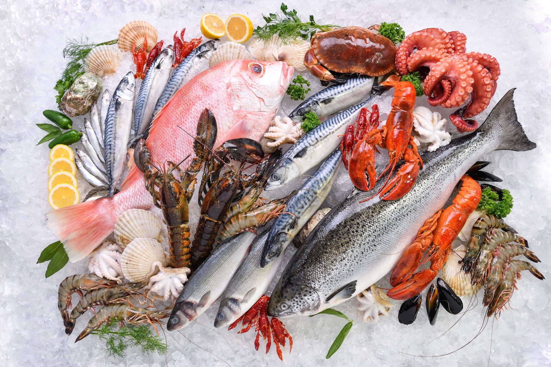 A variety of seafood including fish shellfish and seaweed showcasing the nutritional bounty of the oceans