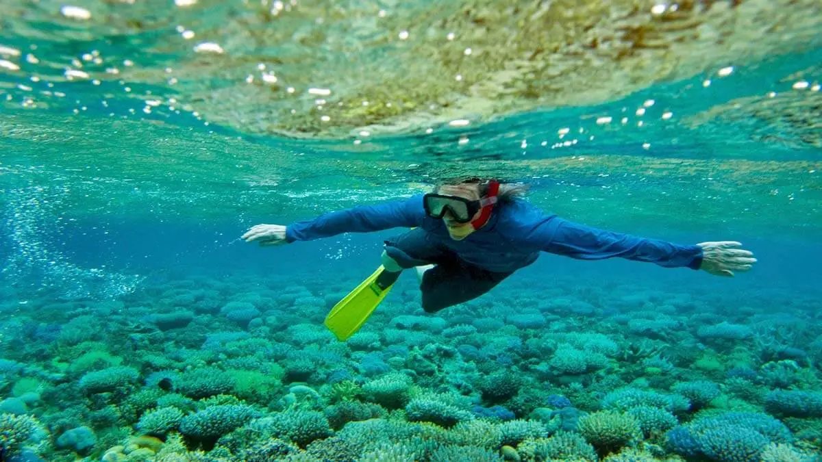 Tourists snorkeling in a vibrant coral reef ecosystem